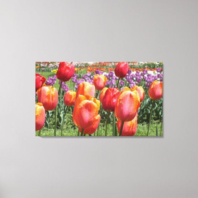 Orange Tulips At Elizabeth Park Wrapped Canvas Print (Front)