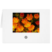 Orange Tulips Cards (Back Horizontal)