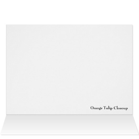 Orange Tulips Closeup (Inside Horizontal (Top))