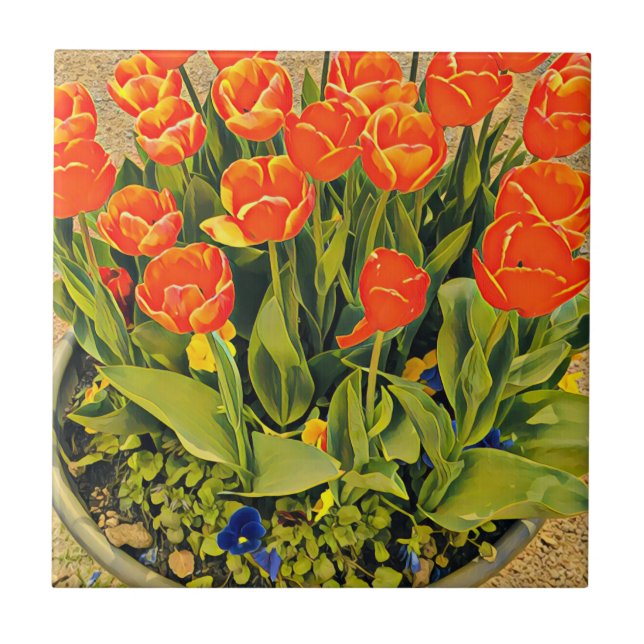 Orange tulips flower festival ceramic tile (Front)