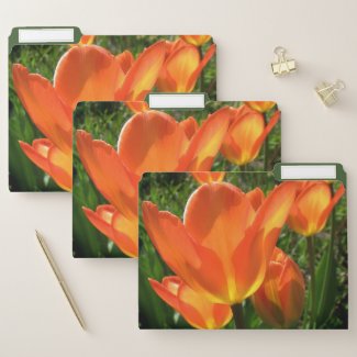 Orange Tulips Flower Garden File Folder Set