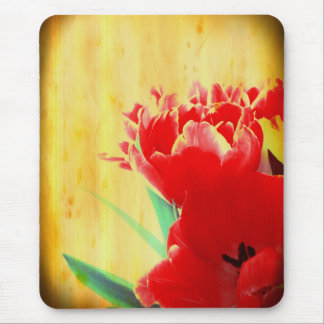 Orange Tulips Mouse Pad