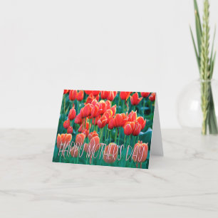 Orange Tulips Photo Happy Mother's Day Card