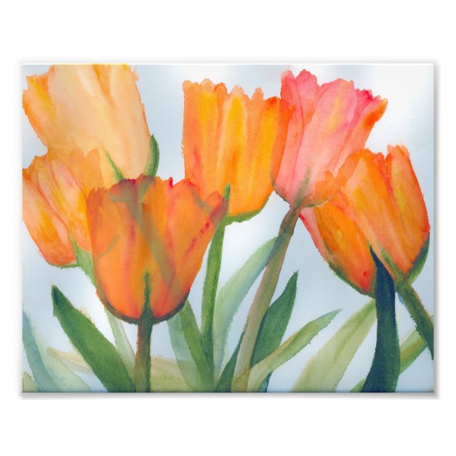 Orange Tulips Photo Print (Front)