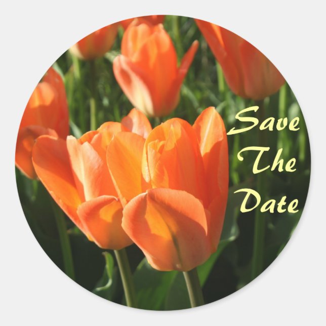 Orange Tulips Save The Date Wedding Sticker (Front)