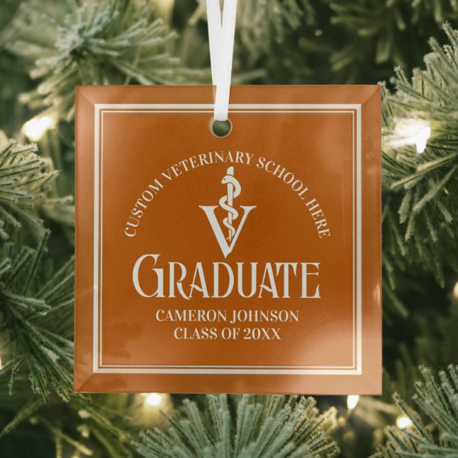 Orange Veterinary School Graduation Christmas Glass Ornament (Insitu)