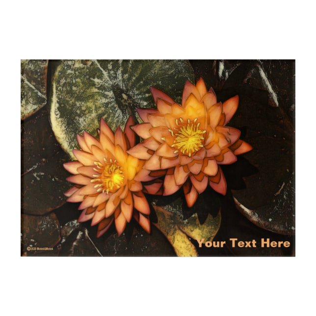 Orange Water Lilies Acrylic Print (Front)