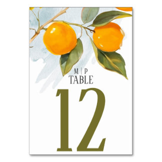 Orange watercolor theme Bright colors Table Number