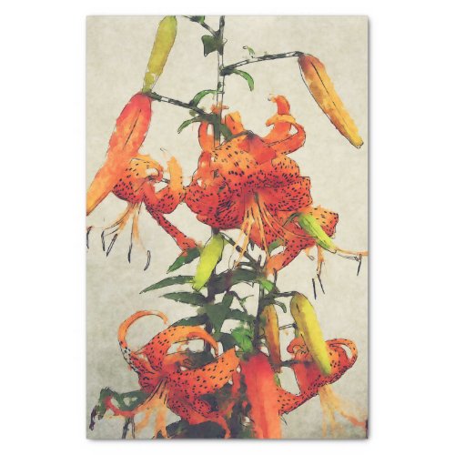 Orange Watercolor Tiger Lily 1 Tissue Paper