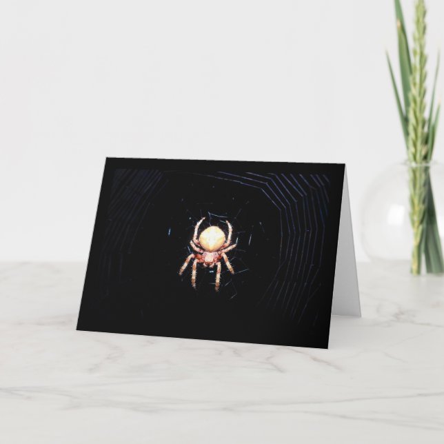 Orange Wheelweaving Spider Card (Front)