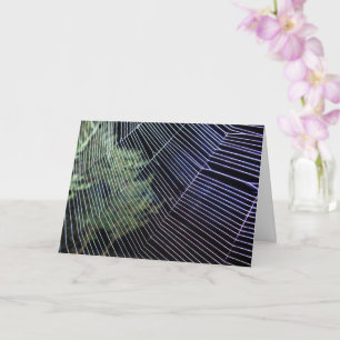 Orange Wheelweaving Spider Web Card