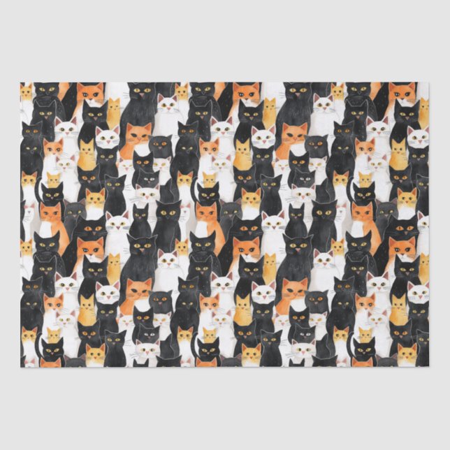 Orange White Black Cats Birthday Tissue Paper (Front)