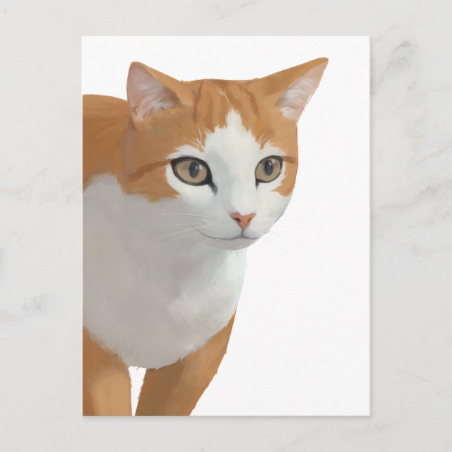 Orange & White Cat Portrait Postcard (Front)