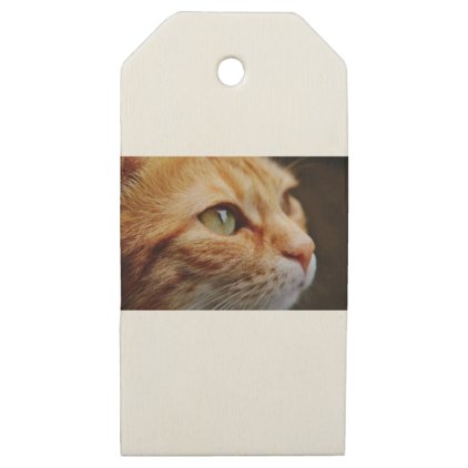 Orange White Cat Wooden Gift Tags