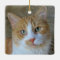 Orange & White Ginger Cat Ornament
