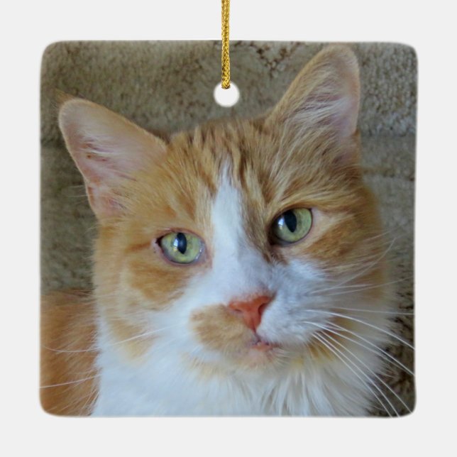 Orange & White Ginger Cat Ornament (Back)