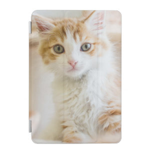Orange & White Kitten iPad Mini Cover