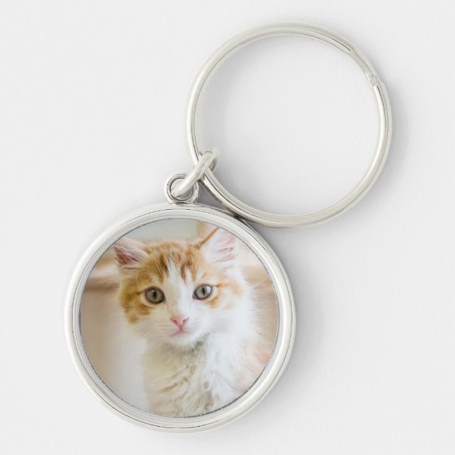 Orange & White Kitten Keychain (Front)