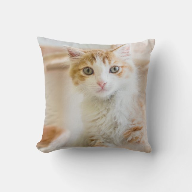 Orange & White Kitten Throw Pillow (Front)