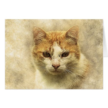 Orange &amp; White Kitty | Abstract | Watercolor Card