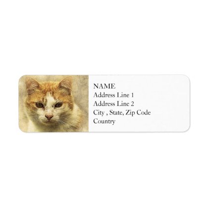 Orange &amp; White Kitty | Abstract | Watercolor Label