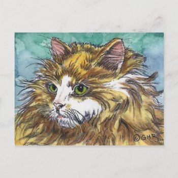 Orange & White Long Hair Cat Postcard by GailRagsdaleArt at Zazzle