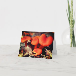 Orange Wild Mushrooms Nature Thank You Card