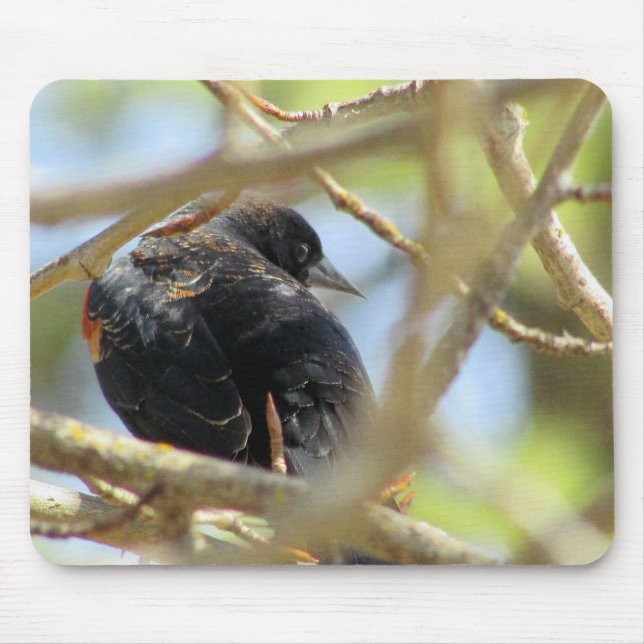 Orange Winged Black Bird Mouse Pad (Front)
