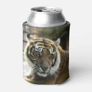Orange with black stripes Bengal tiger photo Can Cooler