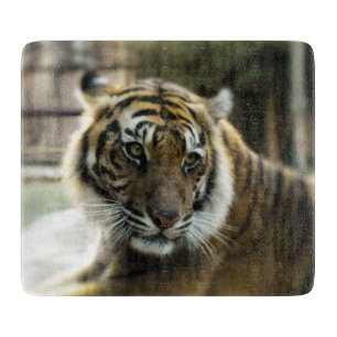 Orange with black stripes Bengal tiger photo Cutting Board