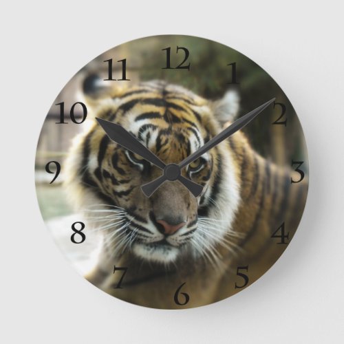 Orange with black stripes Bengal tiger photo Round Clock