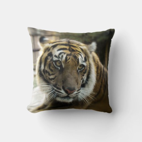 Orange with black stripes Bengal tiger photo Throw Pillow