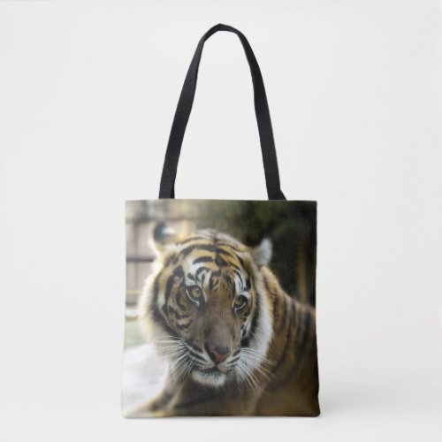 Orange with black stripes Bengal tiger photo Tote Bag