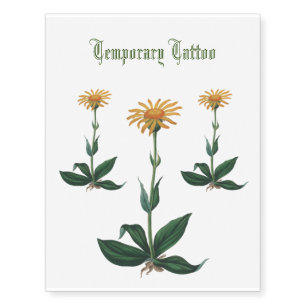 Orange wolf's bane flower antique botany sketch temporary tattoos