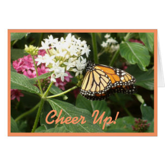 Orange Yellow Butterfly Pink White Flowers Cards