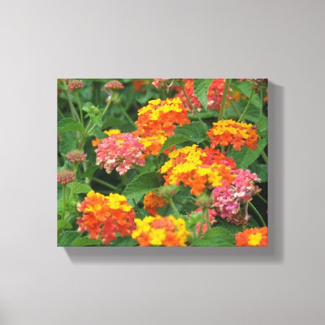 Orange & Yellow Flowers Stretched Canvas Print (Front)