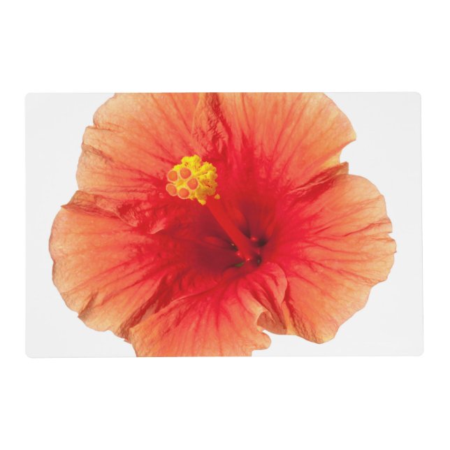 Orange Yellow Hibiscus Tropical Flower Hawaiian Placemat (Front)