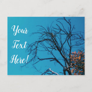 Orange Yellow Leaves Tree Blue Sky Postcard