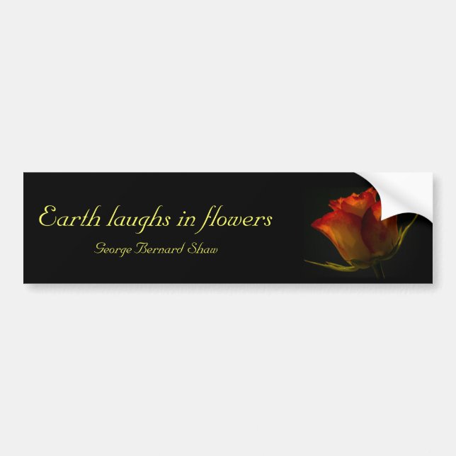 Orange & Yellow Rose Bumper Sticker with quote (Front)