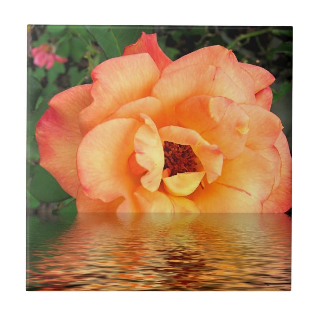 Orange Yellow Rose Flower Tile (Front)