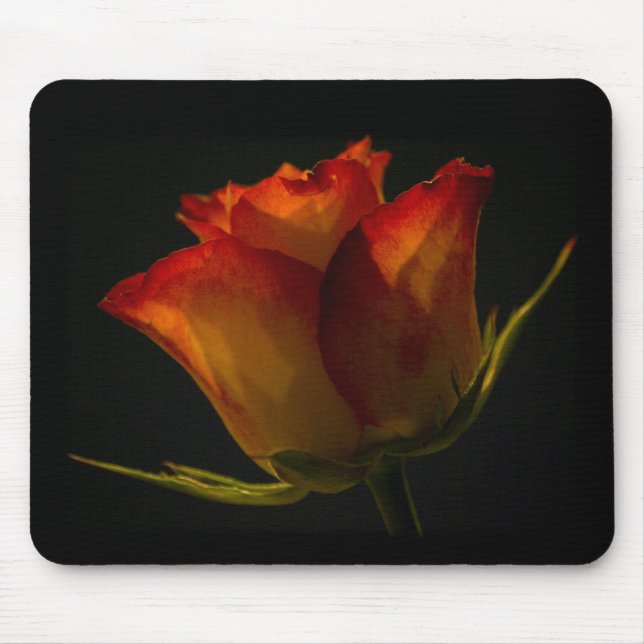 Orange & Yellow Rose Mouse Pad (Front)