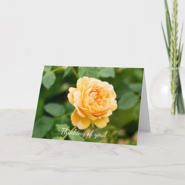 Orange Yellow Rose Thinking Of You  Card (Front)