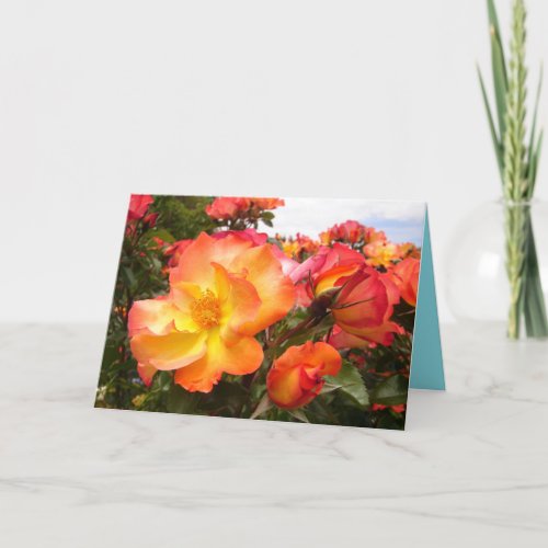 Orange Yellow Roses floral Flowers Birthday Card