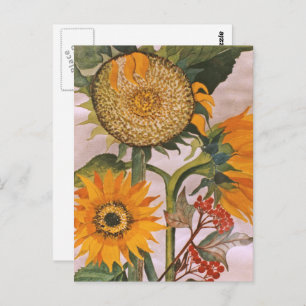 Orange Yellow Seeding Sunflower Art Postcard