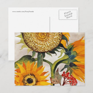 Orange Yellow Seeding Sunflower Art Postcard