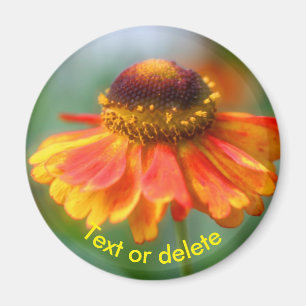 Orange Yellow Zinna Daisy Flower Personalized Magnet