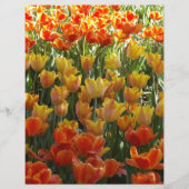 Orange-&-Yelow-Tulips.jpg (Front)