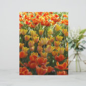 Orange-&-Yelow-Tulips.jpg (Standing Front)