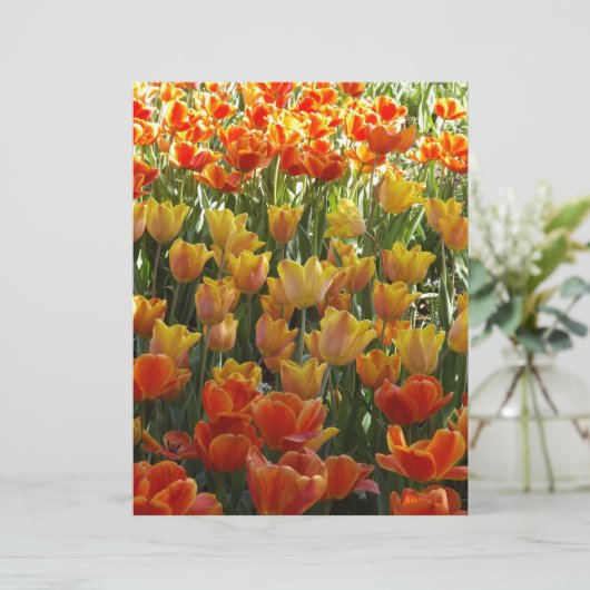 Orange-&-Yelow-Tulips.jpg (Standing Front)