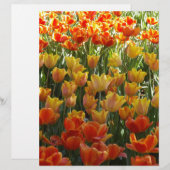 Orange-&-Yelow-Tulips.jpg (Front/Back)